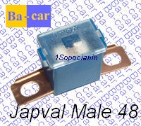 Japval Male 48